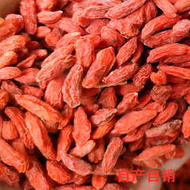 寧夏特級(jí)枸杞 營(yíng)養(yǎng)瑰寶，健康選擇——食用農(nóng)產(chǎn)品批發(fā)指南