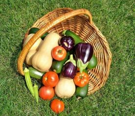 食品安全大于天，源頭把關(guān)是關(guān)鍵——陜西省市場(chǎng)監(jiān)管局召開食用農(nóng)產(chǎn)品批發(fā)環(huán)節(jié)質(zhì)量安全座談會(huì)